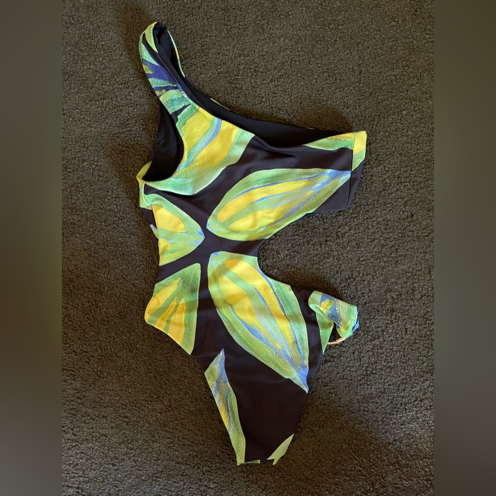 Louisa Ballou one piece swimsuit
